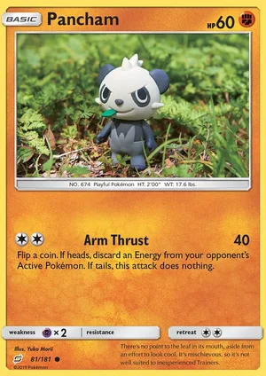 Pancham 81/181
