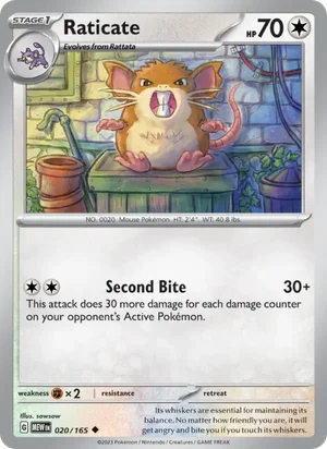 Raticate Pokémon 151 Pokémon TCG Uncommon 020
