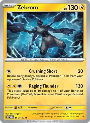 Zekrom 66/182