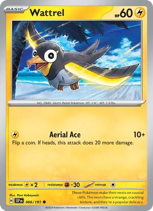 Wattrel 066/191 Common, Surging Sparks Pokémon TCG card