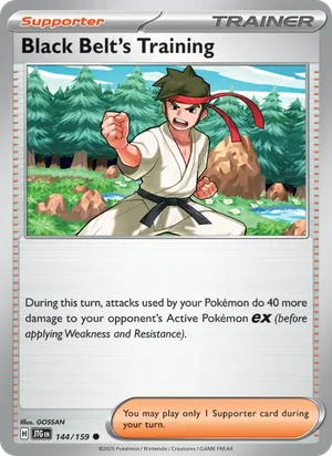 Black Belt's Training Journey Together Pokémon TCG Common 144