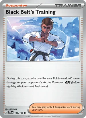 Black Belt's Training Journey Together Pokémon TCG Common 145