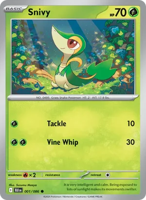 Snivy SV Black Bolt Pokémon TCG Common 001
