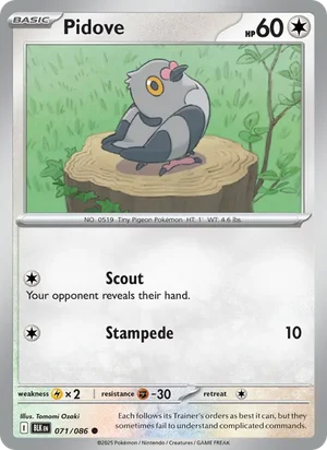Pidove SV Black Bolt Pokémon TCG Common 071