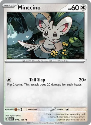 Minccino SV Black Bolt Pokémon TCG Common 075