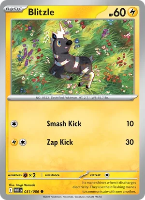 Blitzle SV White Flare Pokémon TCG Common 031