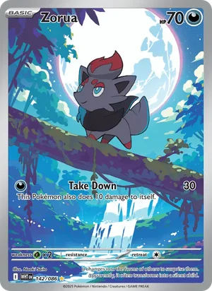 Zorua SV White Flare Pokémon TCG Illustration Rare 142