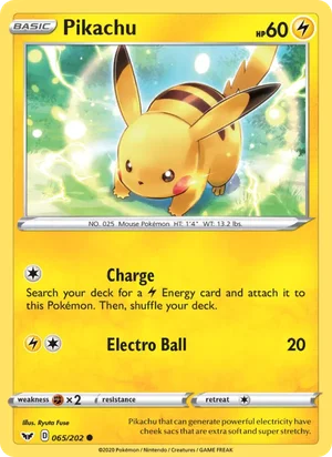 Pikachu 65/202
