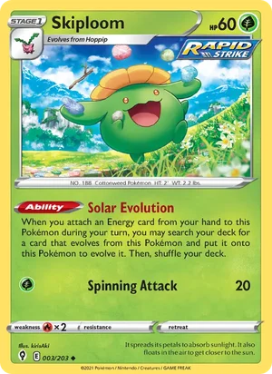 Skiploom 3/203