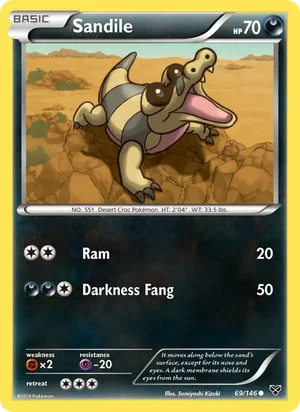 Sandile 69/146