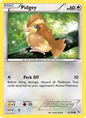 Pidgey 75/106