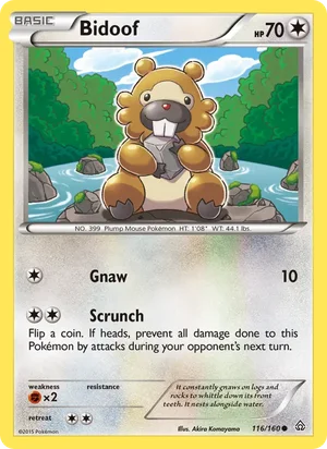 Bidoof 116/160