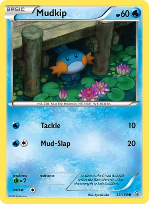 Mudkip 33/160