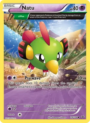 Natu 28/108