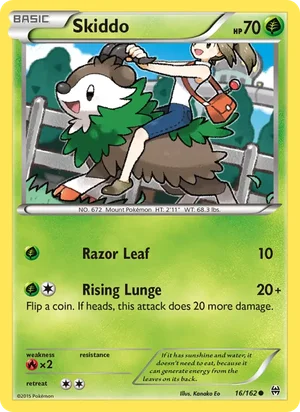 Skiddo 16/162